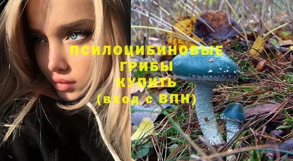 прущие крисы Домодедово